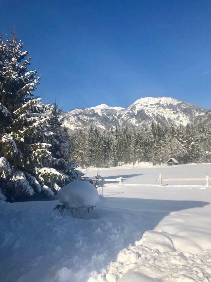 Traumhafte Wohnung auf Pferde Ranch Aich  Exterior foto