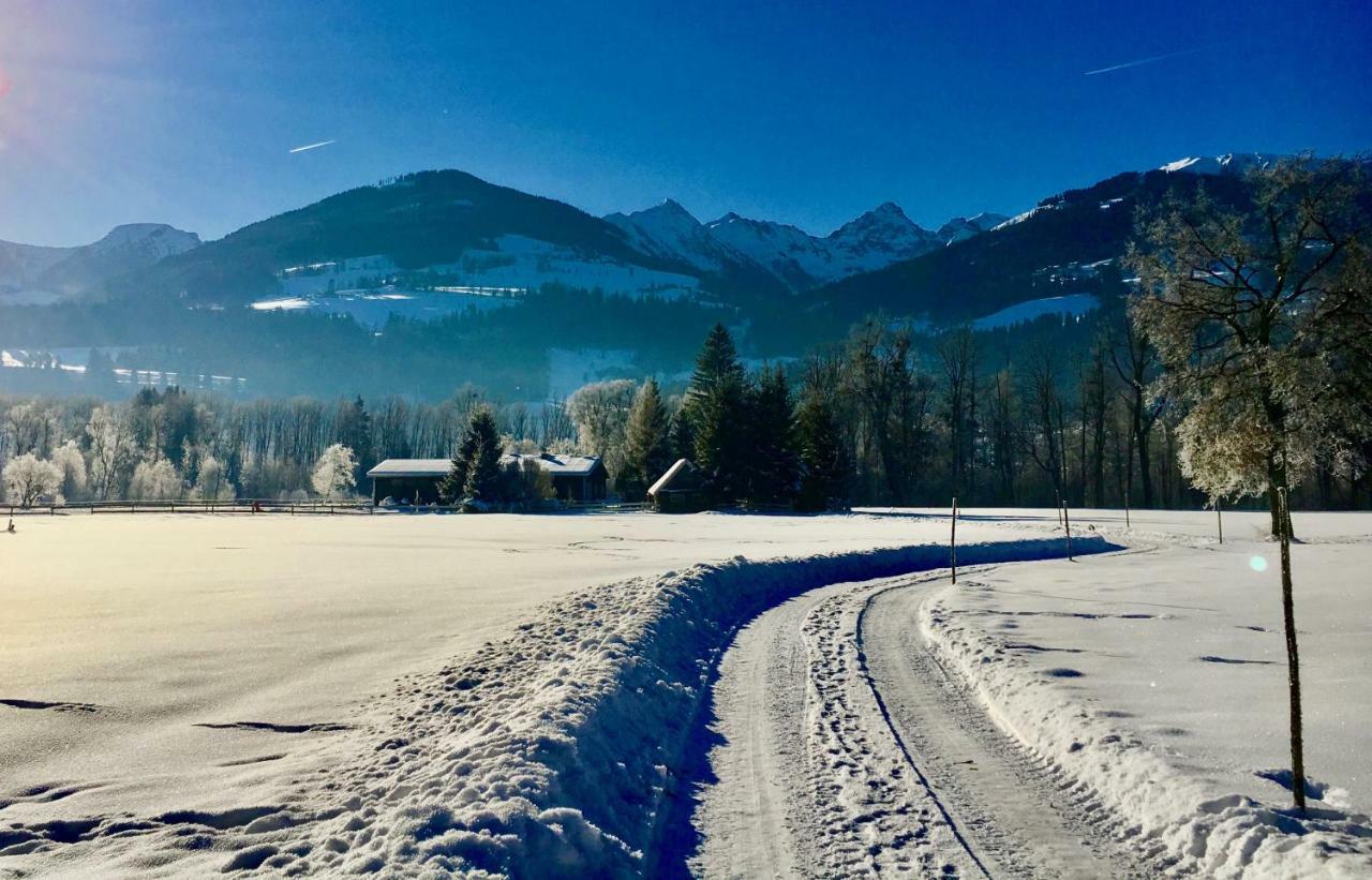 Traumhafte Wohnung auf Pferde Ranch Aich  Exterior foto