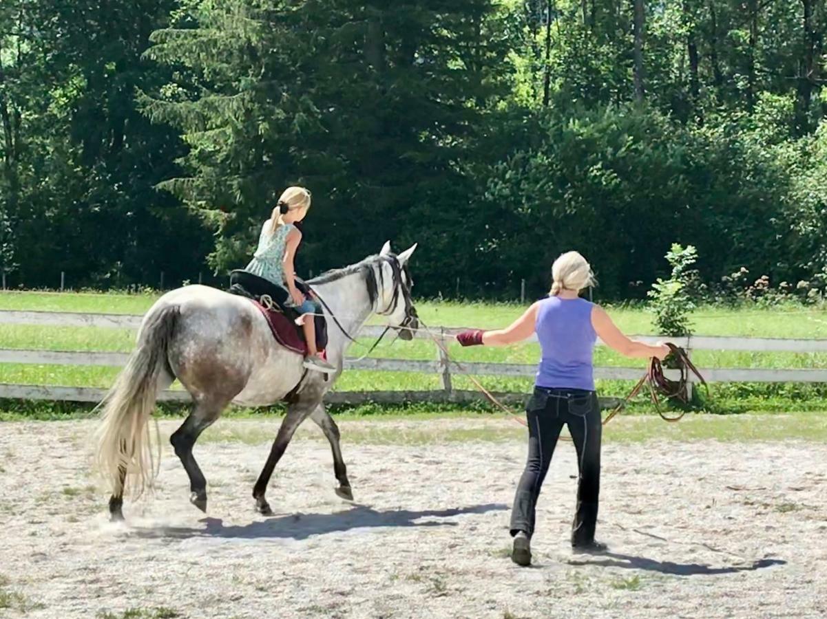 Traumhafte Wohnung auf Pferde Ranch Aich  Exterior foto