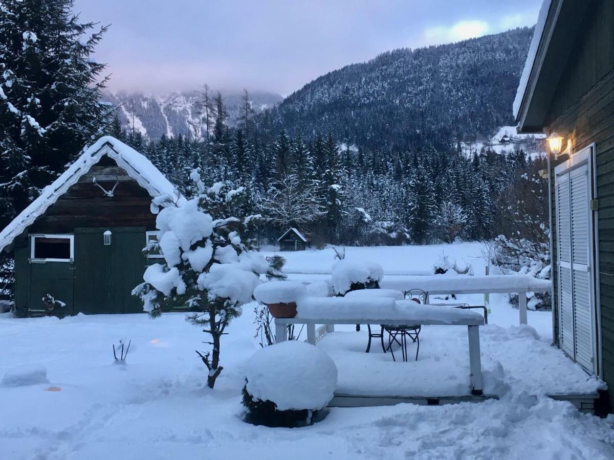 Traumhafte Wohnung auf Pferde Ranch Aich  Exterior foto